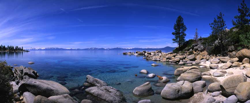 Dog Paddle, East Shore, Lake Tahoe