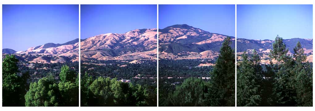 Mt Diablo From Danville