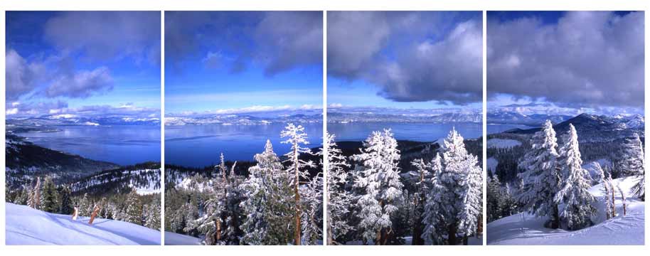 Tree Line , Ellis Peak